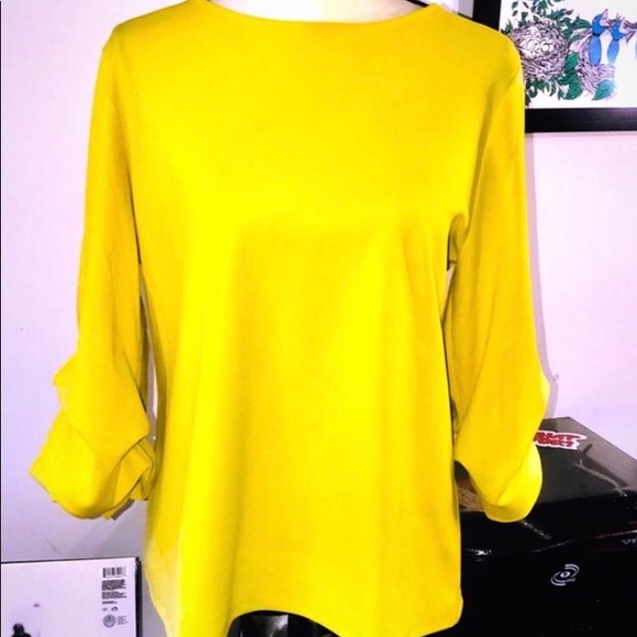 Ann Taylor Tops - Ann Taylor Scrunched Sleeve Blouse✨